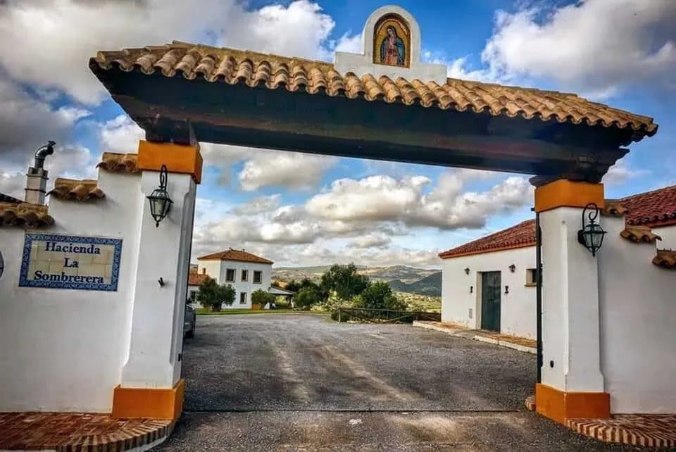 Front view