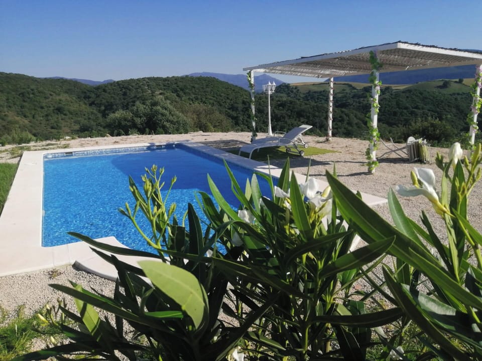 Swimming pool view