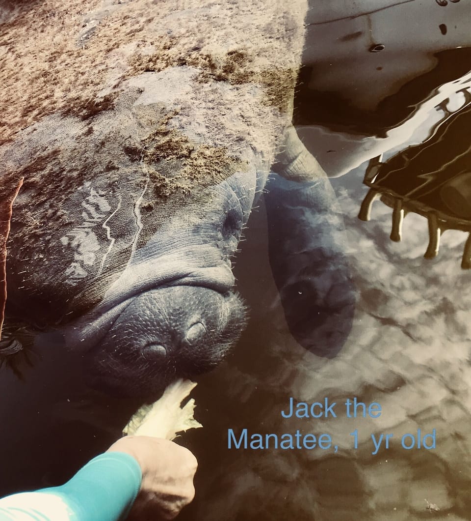 Jack the toddler of the bay.