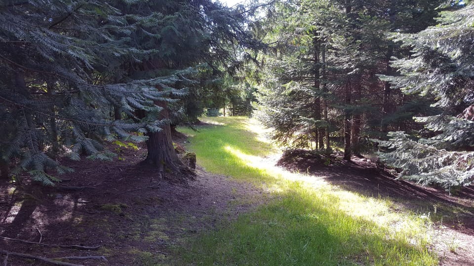 Private path to lake
