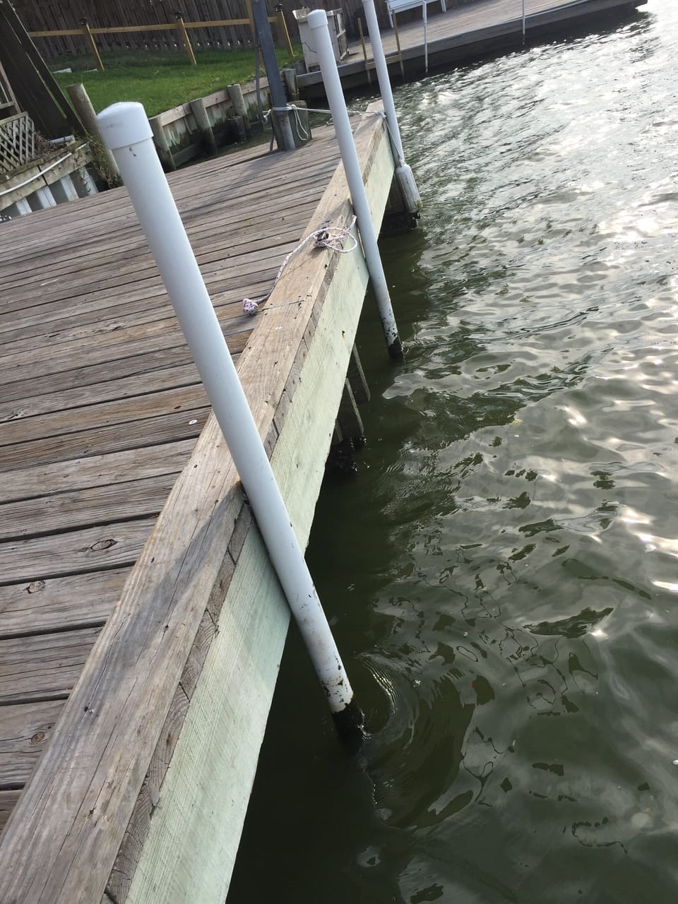 View of dock, PVC pipes sunk into riverbottom to prevent boats from hitting dock