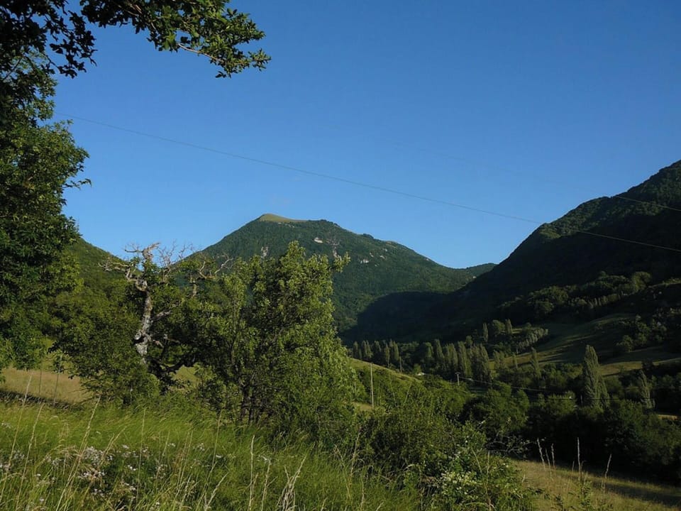 Areal view