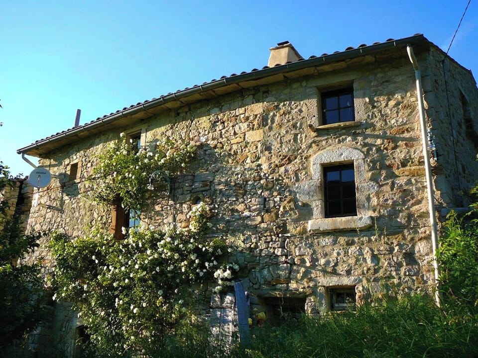 Front view