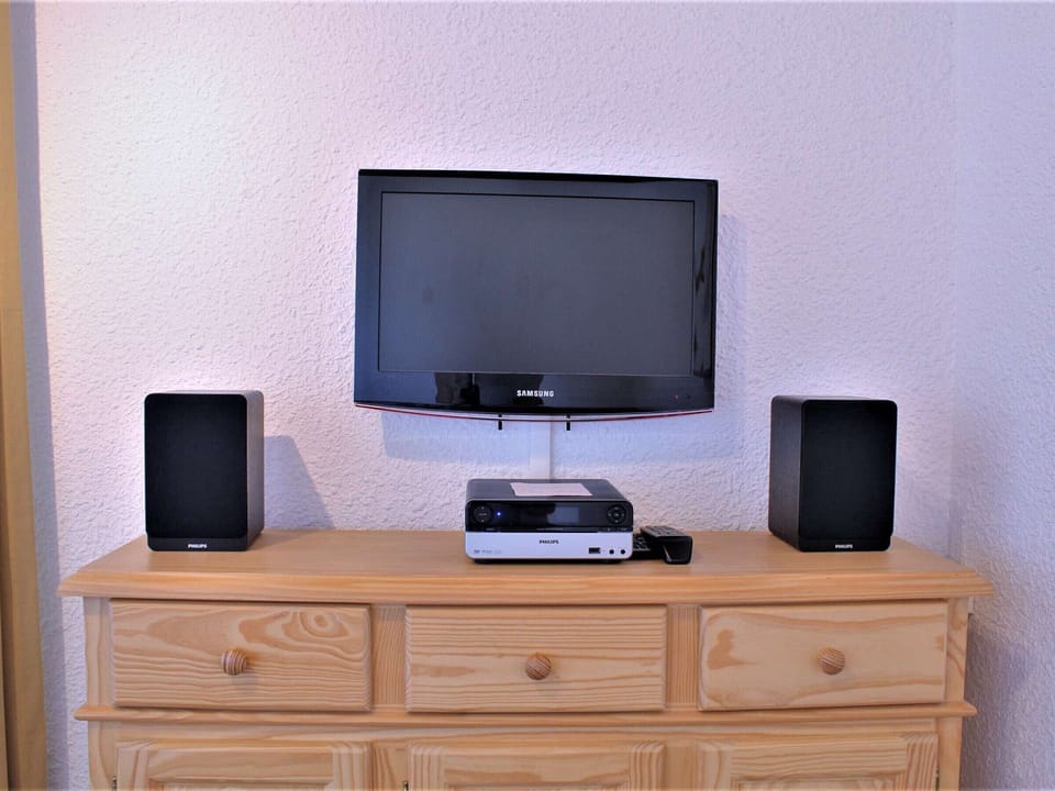 Television