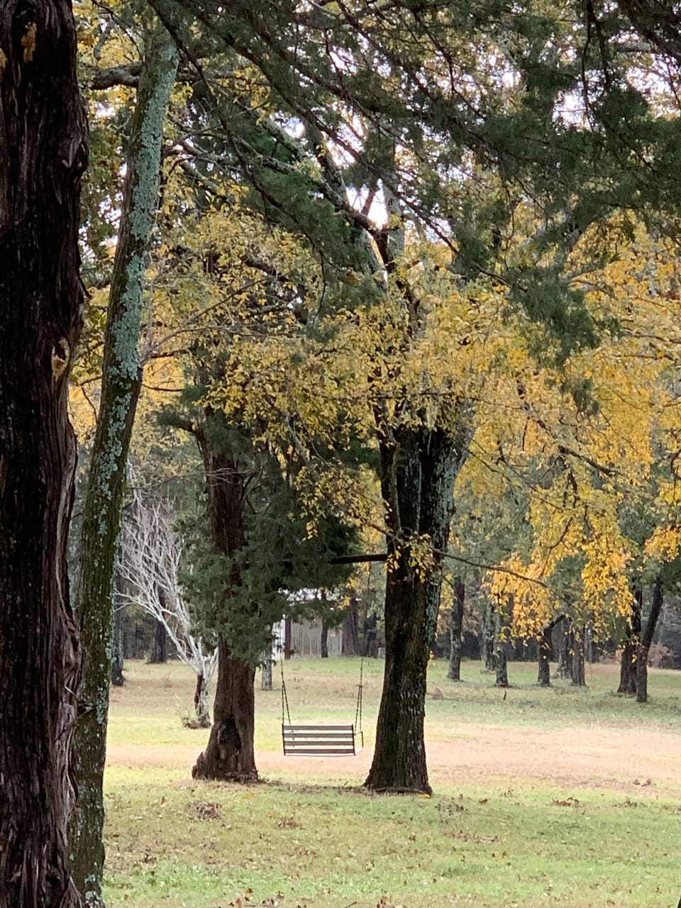 Enjoy the outdoors!