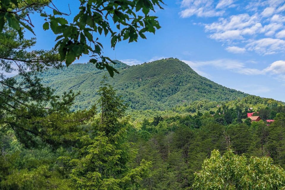 Spring/Summer Mountain View