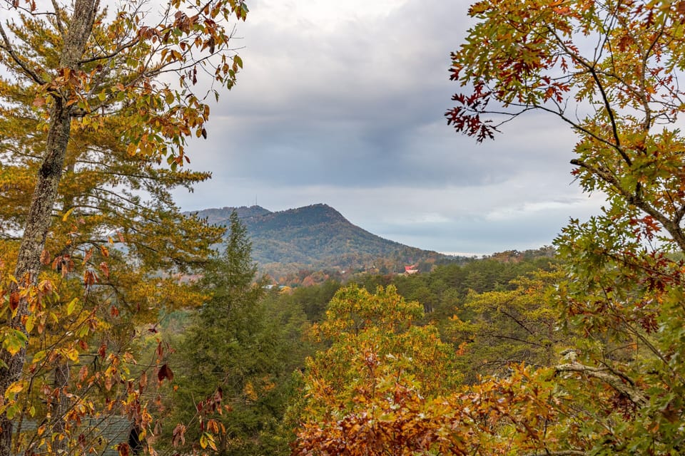 Fall Mountain View