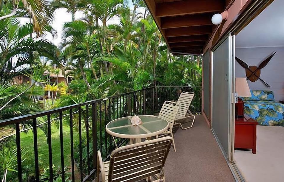 Peaceful Tropical Setting