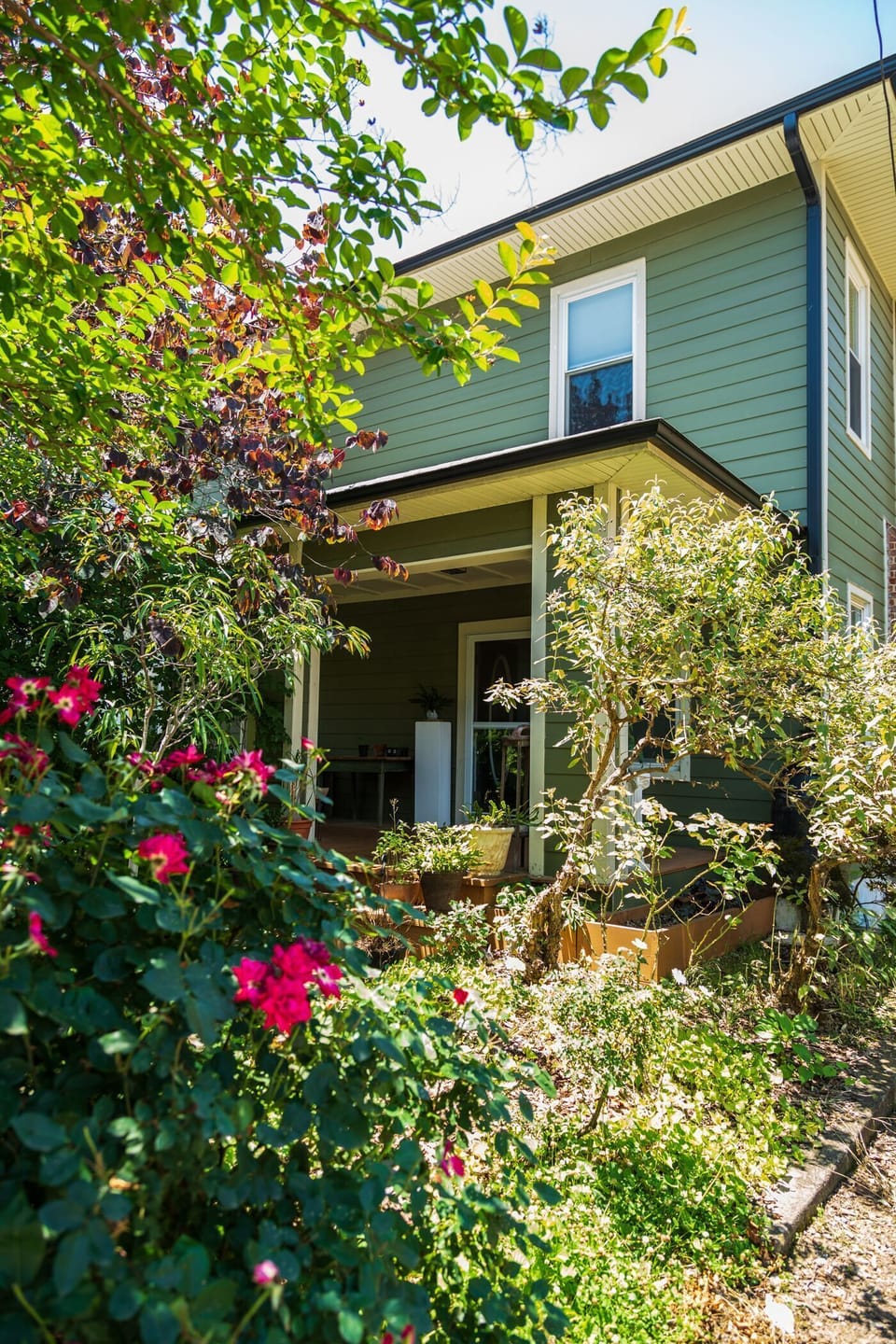 Front view of the house, which is surrounded by plants & trees.