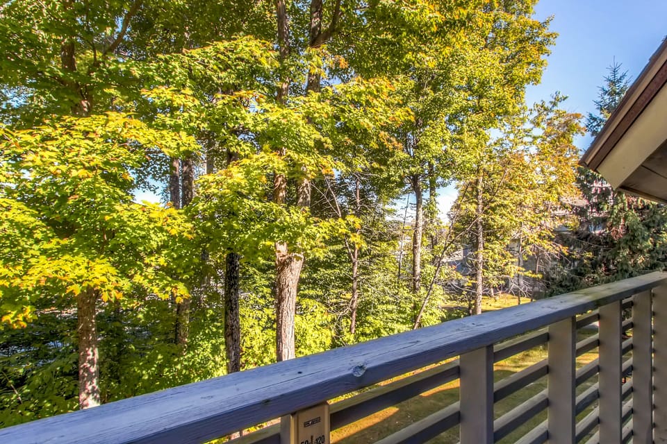 View from Deck