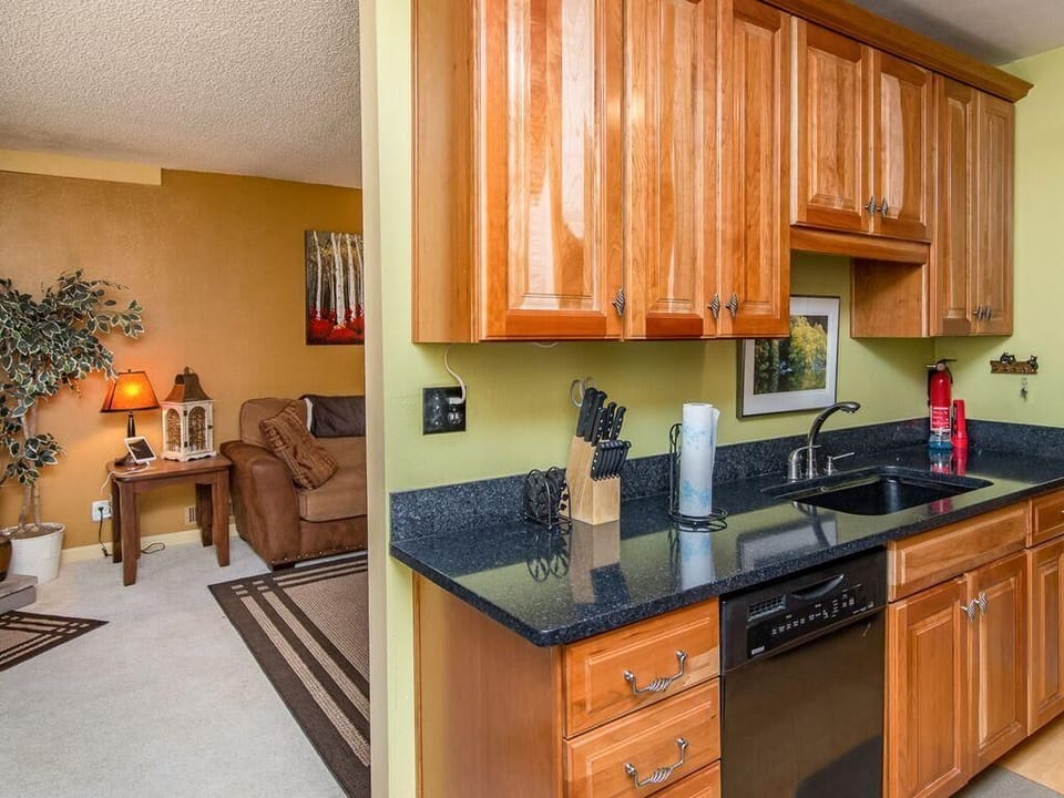 Glossy wooden cabinets and black granite countertops line the kitchen, with a double basin sink and built-in dishwasher.