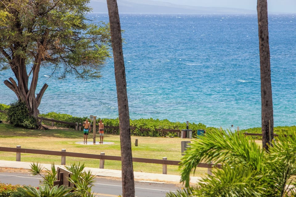 A stunning beachfront property location with direct views of crystal-clear turquoise waters, surrounded by tropical palms, lush greenery, and waterside walking paths.