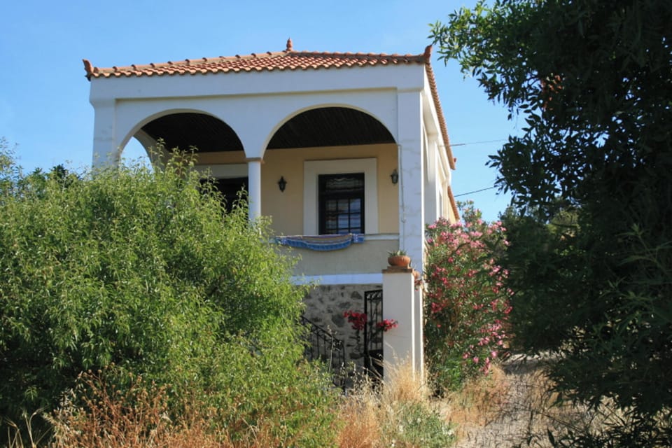 Front view