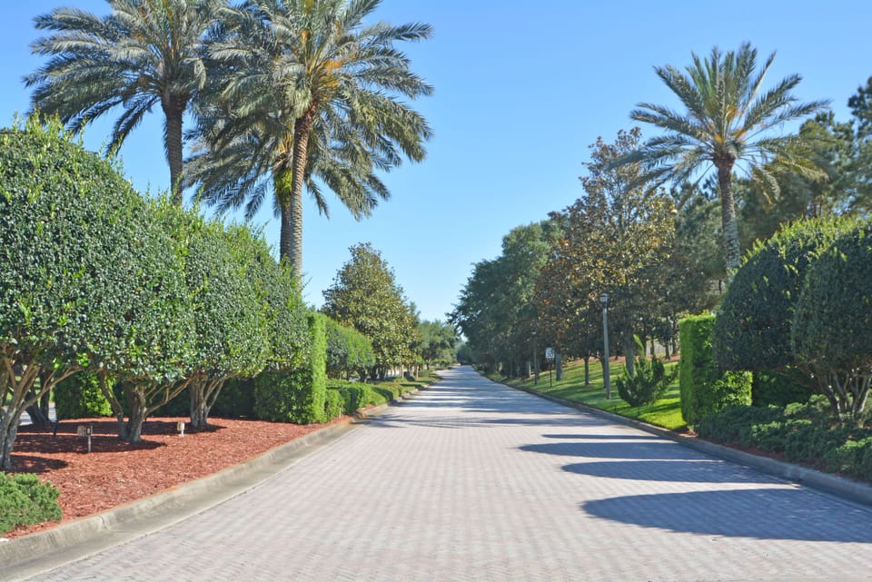 Beautiful tree lined avenue leading to development