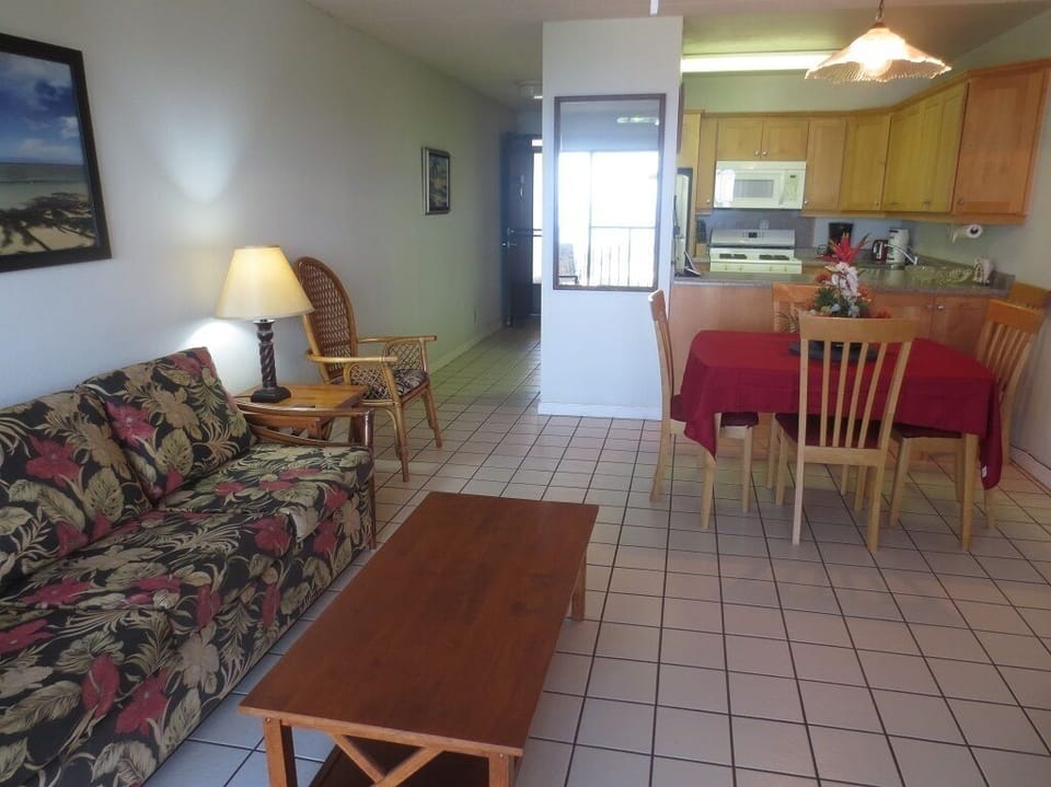 Living Room - Living room, kitchen and entry.