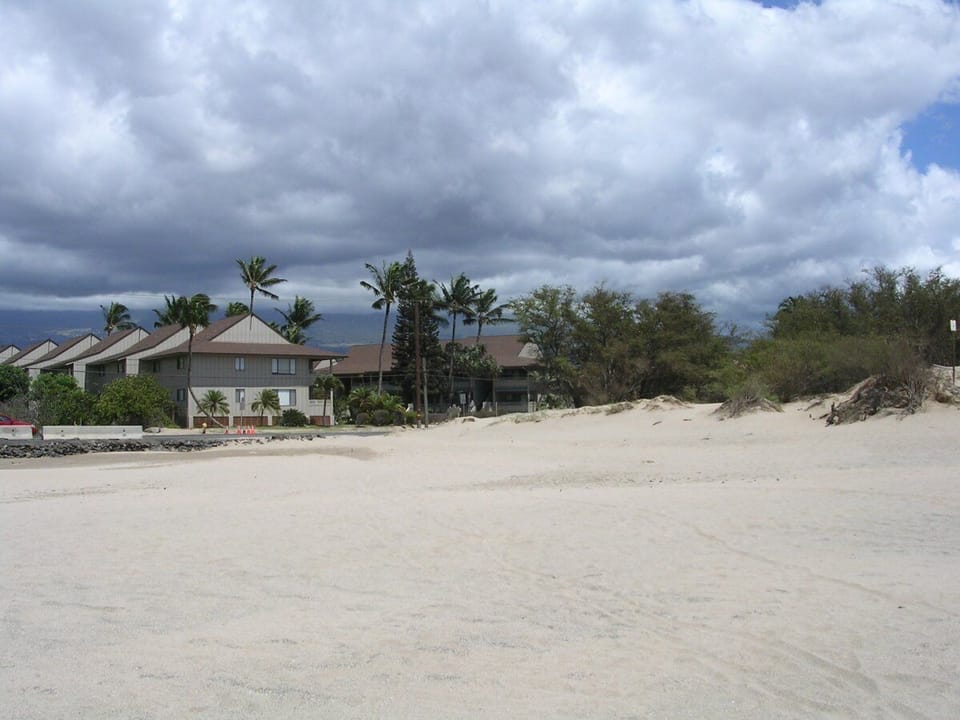 Beachfront property nestled among swaying palms and lush tropical vegetation, offering direct access to soft sand and coastal beauty.