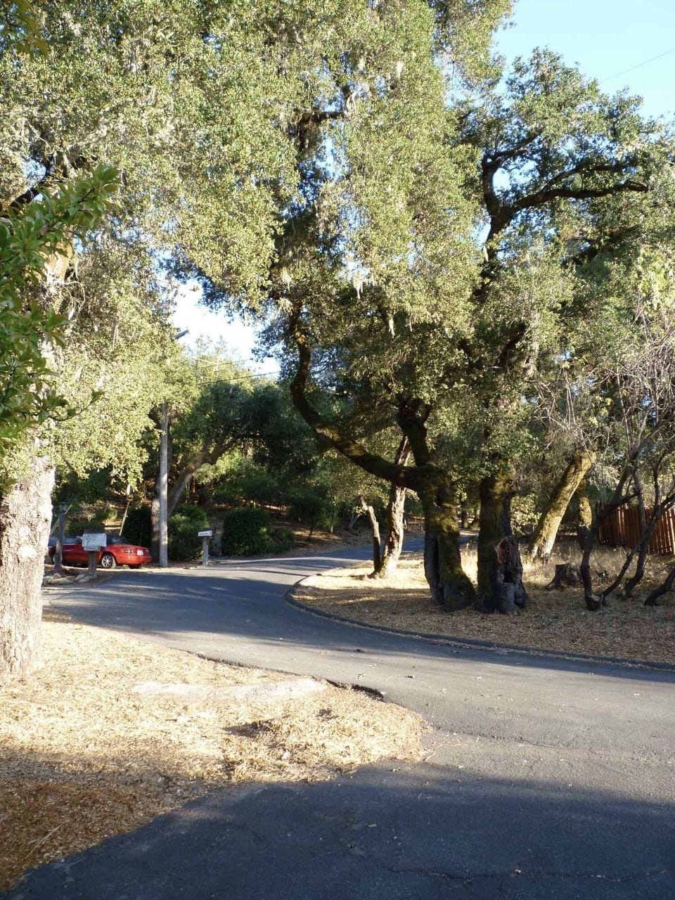 Private road is very well maintained.