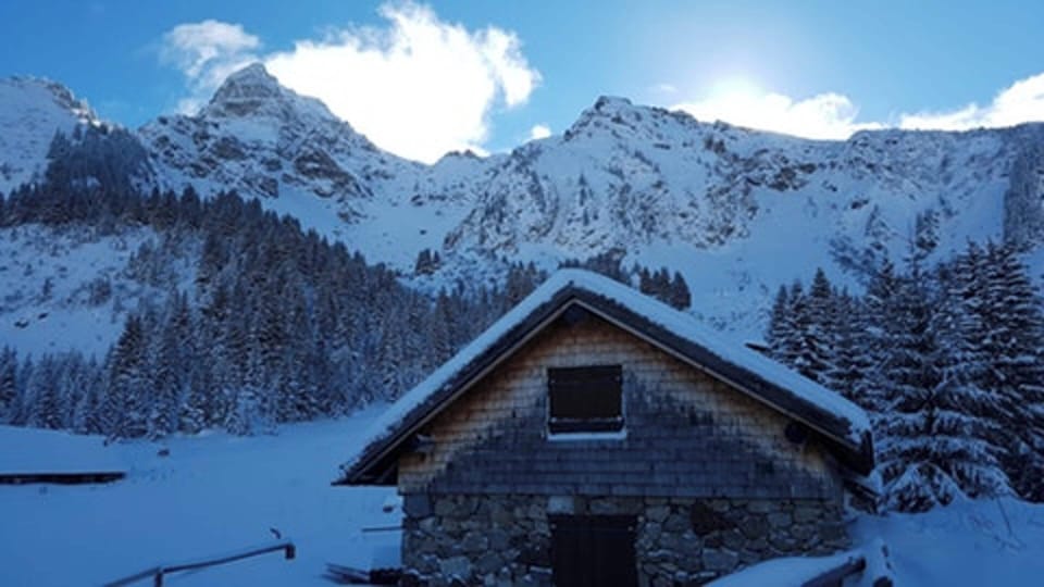 Mountain view