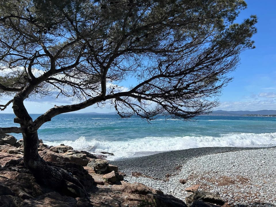 Sea view