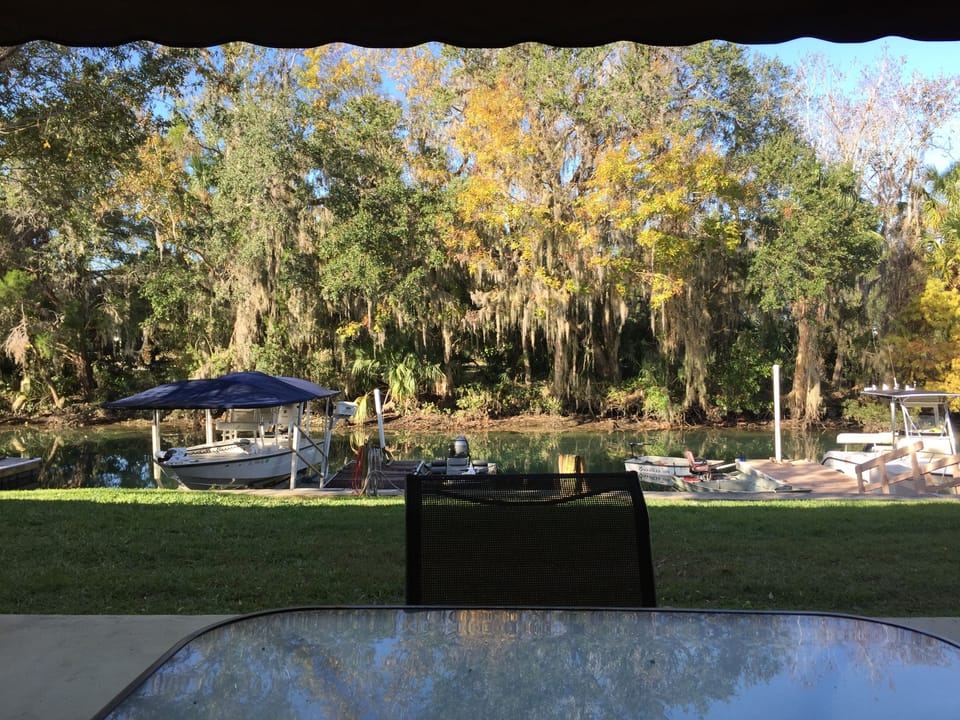 View from your patio chair.