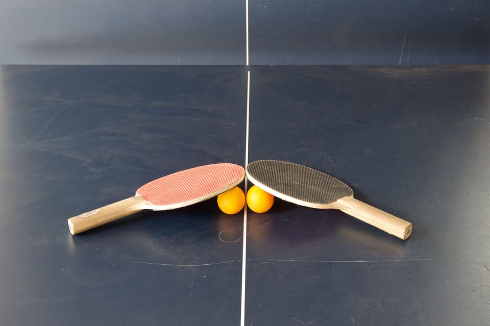 Ping Pong Table in Garage