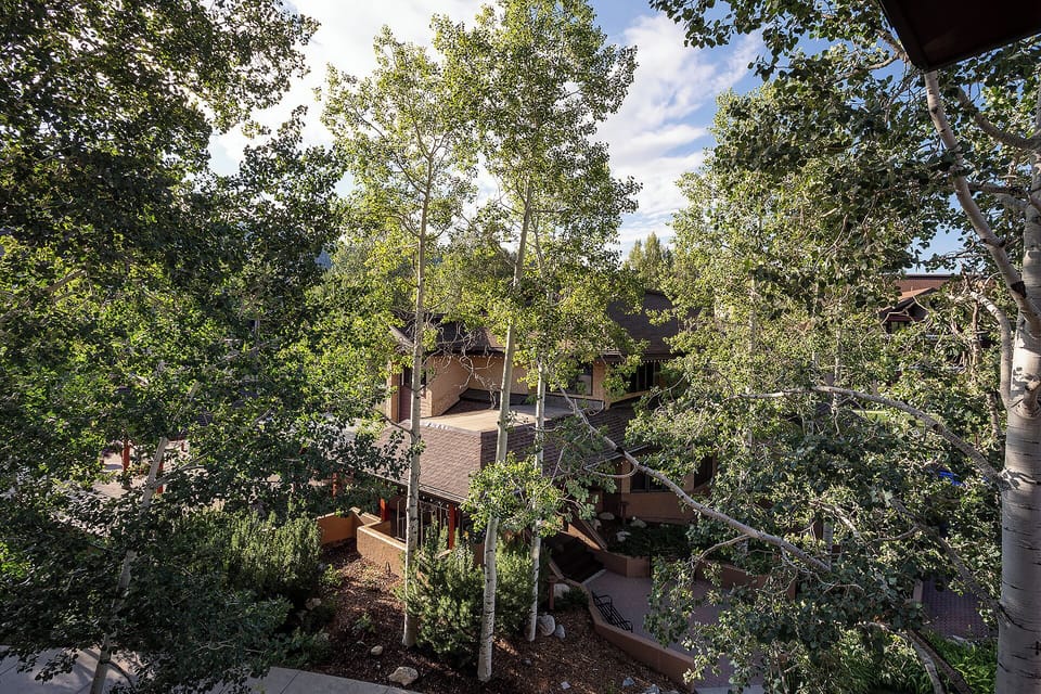 Peaceful mountain retreat nestled among towering aspens and native landscaping, offering a serene natural setting.