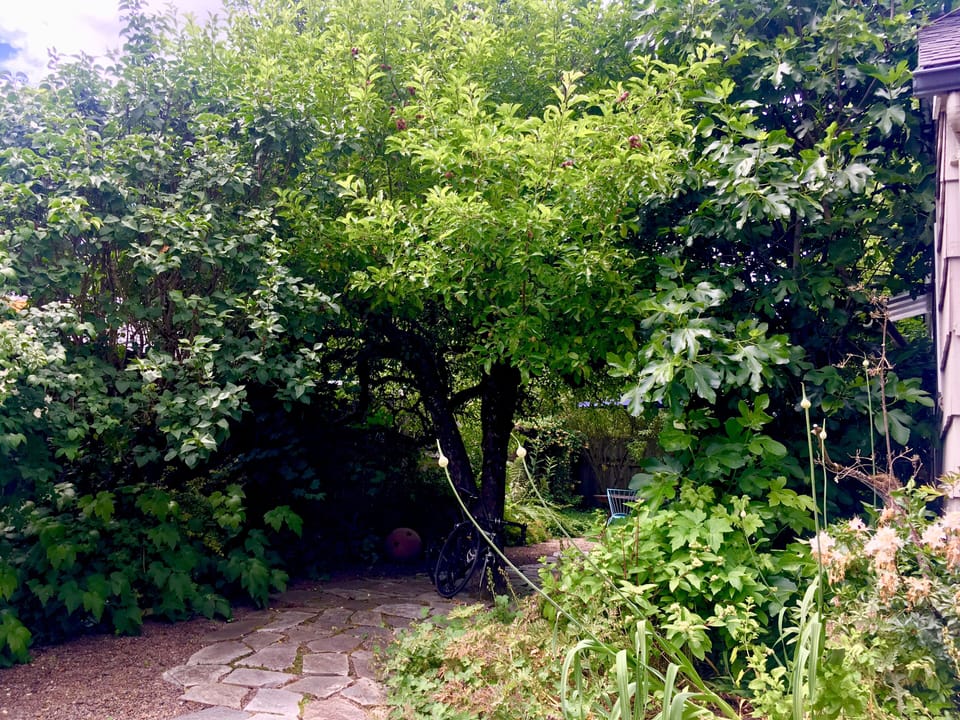 The Studio is set among a beautiful garden on the property. 