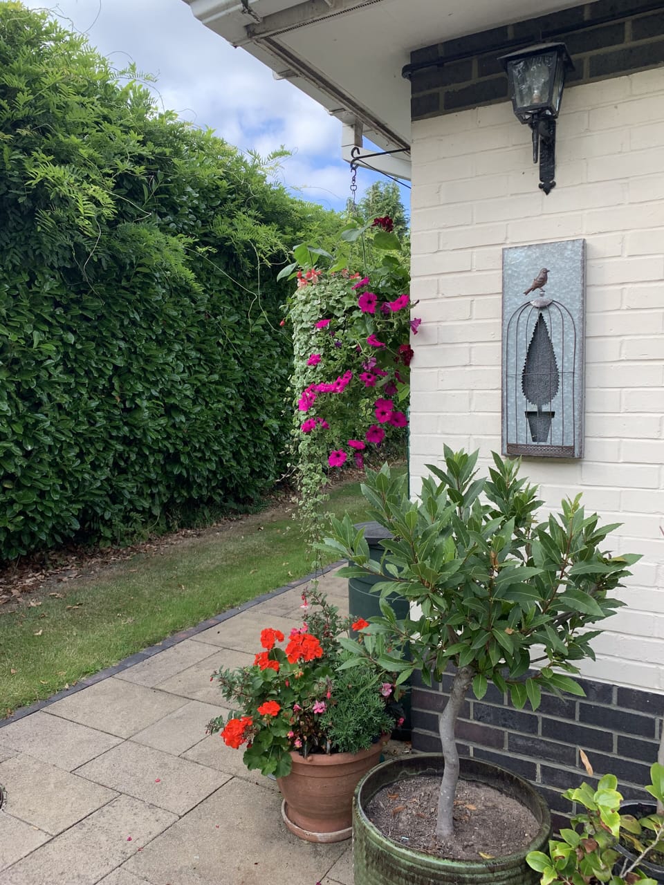 Chalk House garden