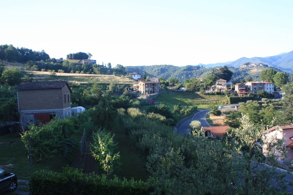 View from roadside (other direction)