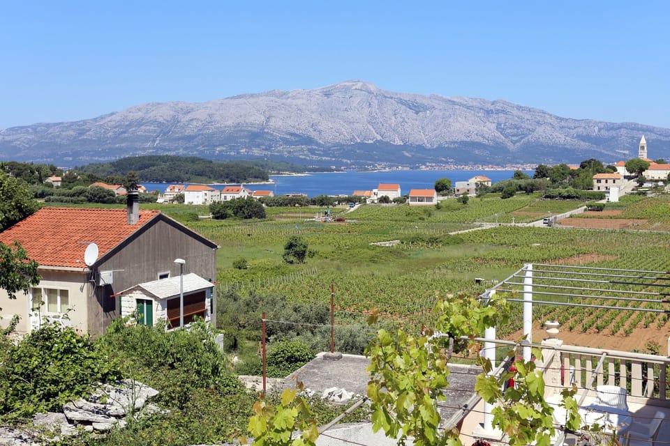 Terrace 1