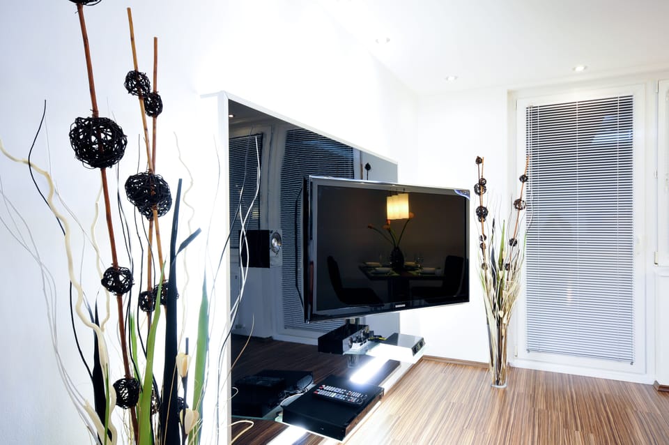 Television