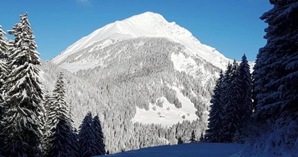 Mountain view