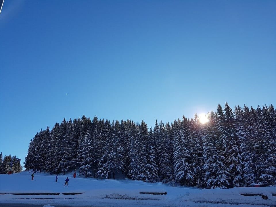 Snow and ski sports