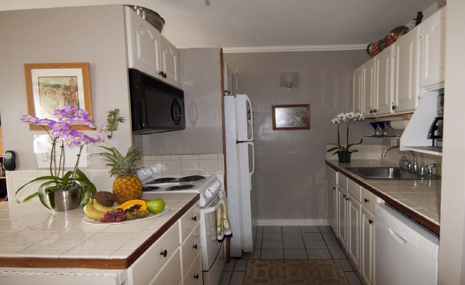 Well equipped kitchen, cookware, dinnerware, glassware, some spices provided

