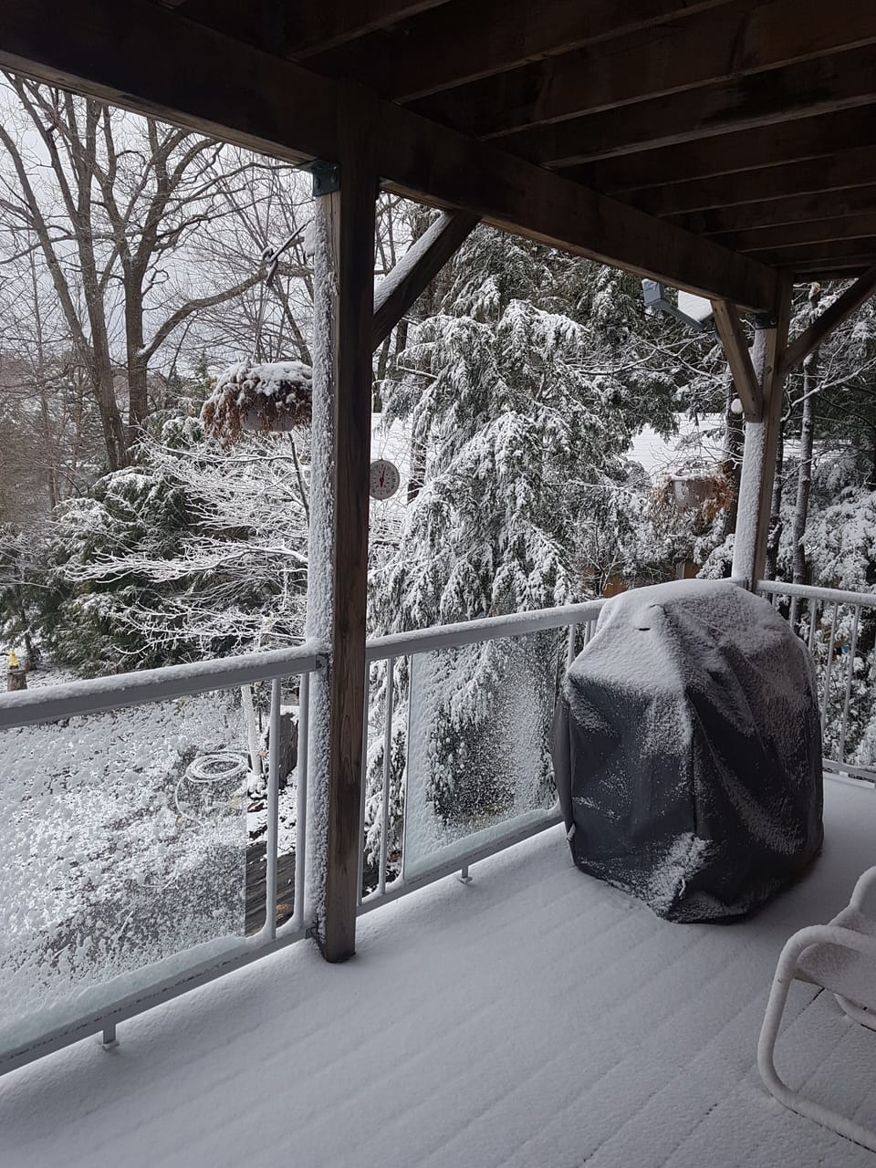 Winter Wonderland