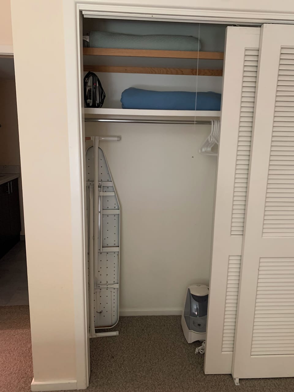 Master closet with iron and ironing board