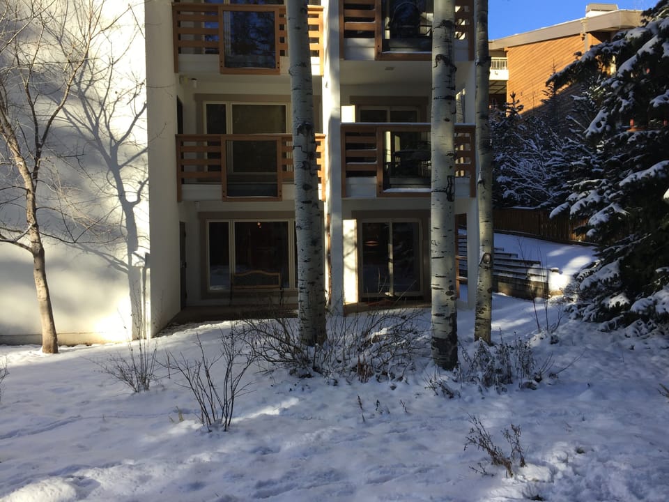 Garden entrance (winter)