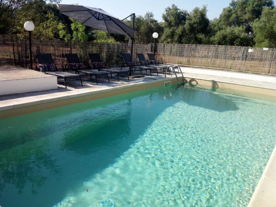 New Sun Lounges 2019