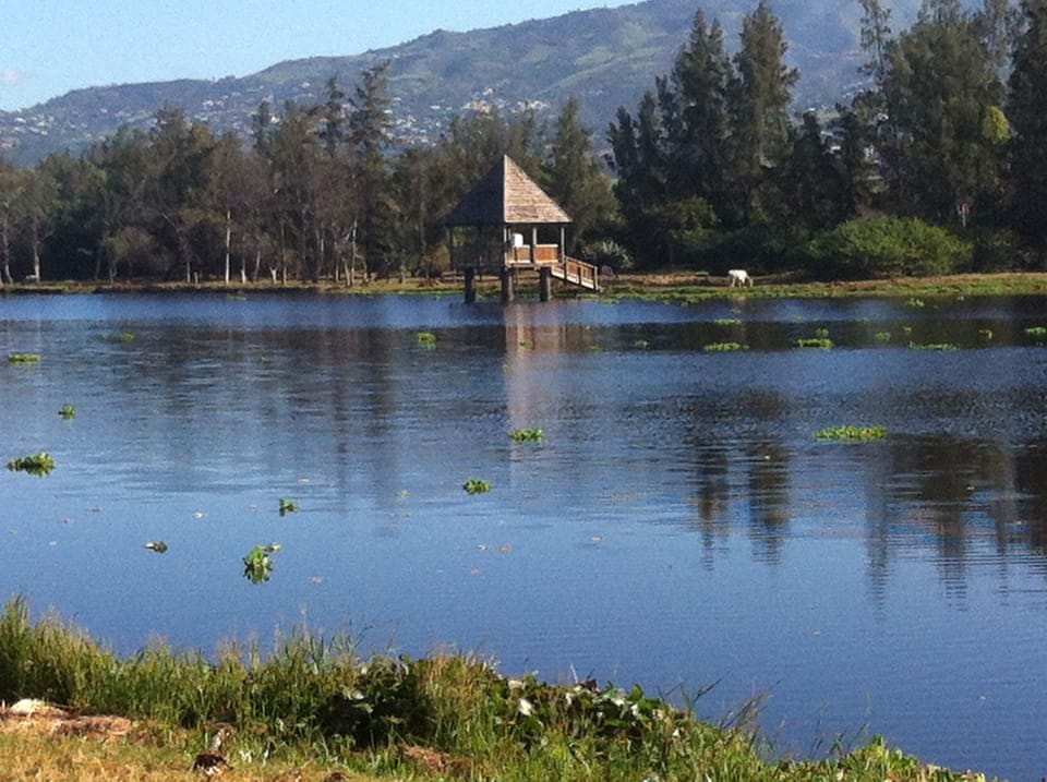 Lake