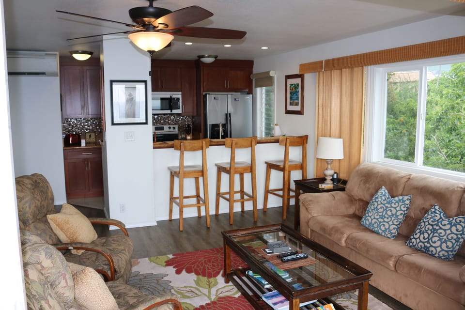 From the lanai across the living area to the kitchen. Note the AC unit!