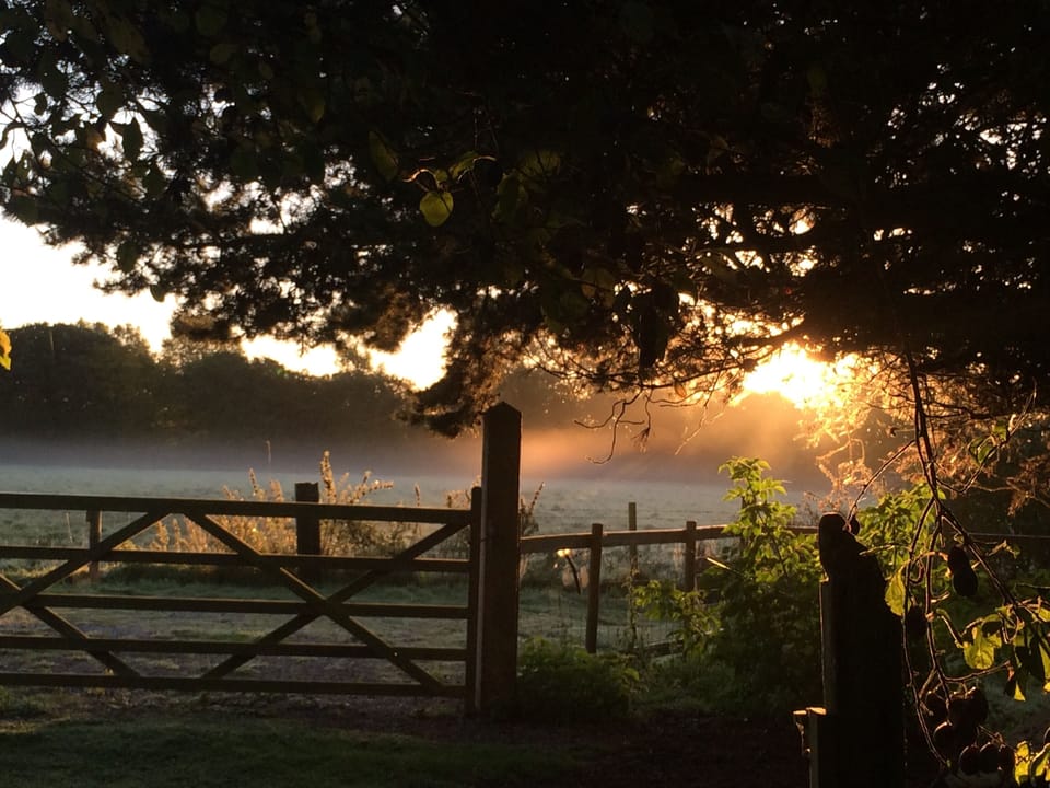 Scooby Doo mist in the next field