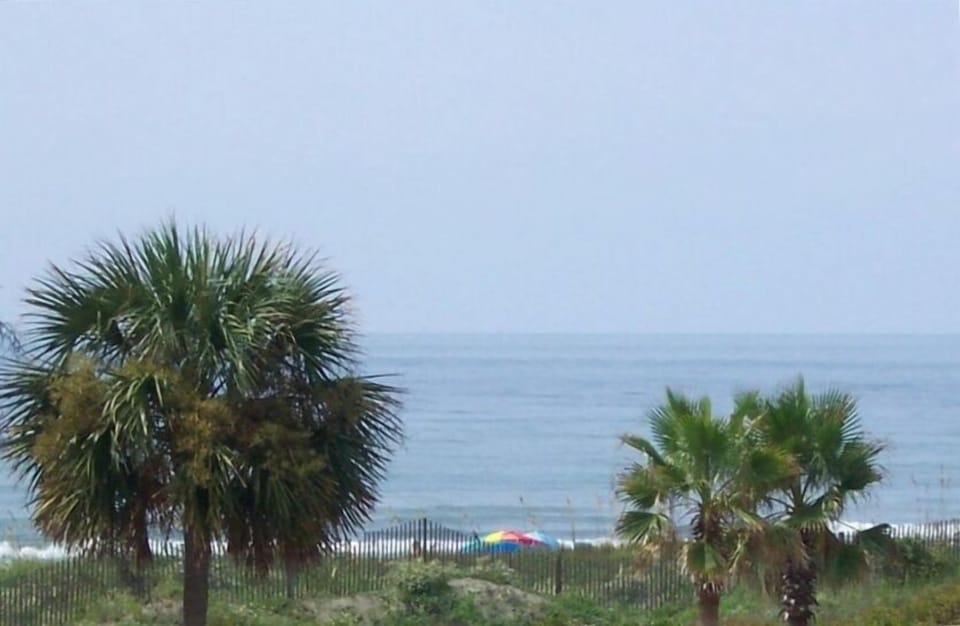 view in other direction