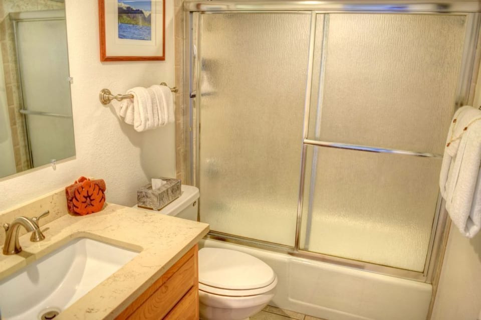 Downstairs master bathroom with full shower/tub
