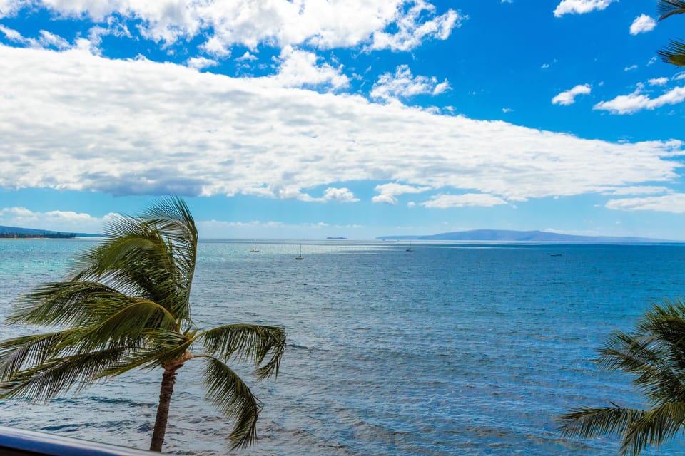 Tranquil coastal setting with swaying palms, brilliant blue waters, and distant sailboats under a partly cloudy sky.