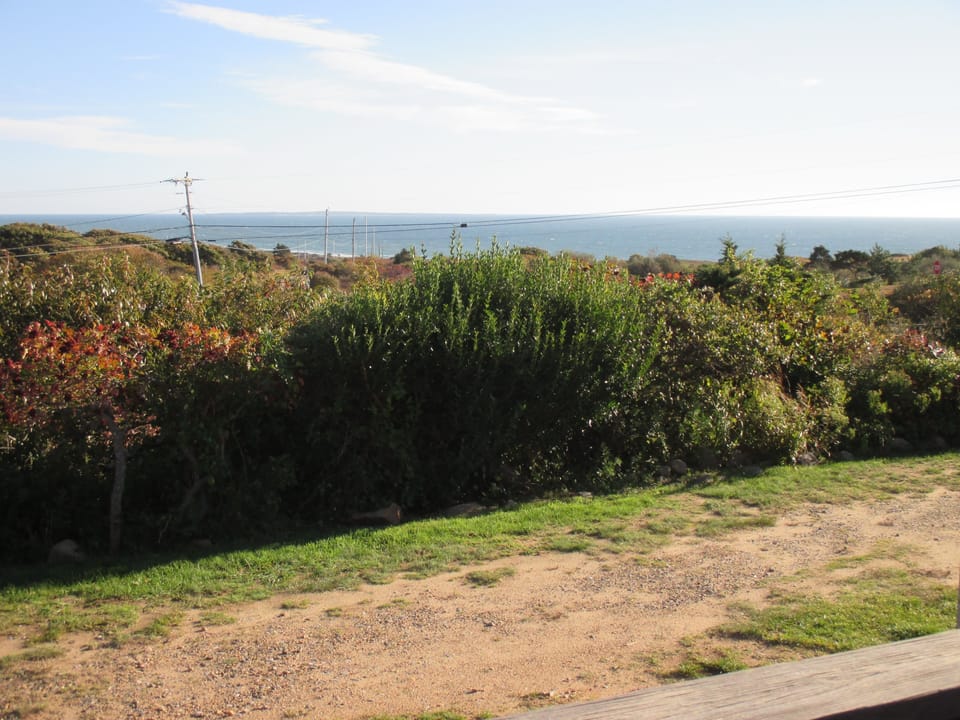 The view from the front deck