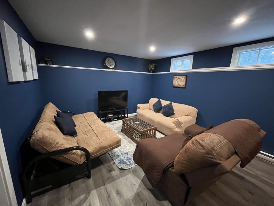 Basement living area