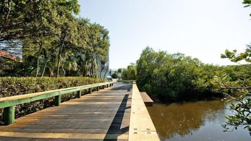 Bridge to the Complex