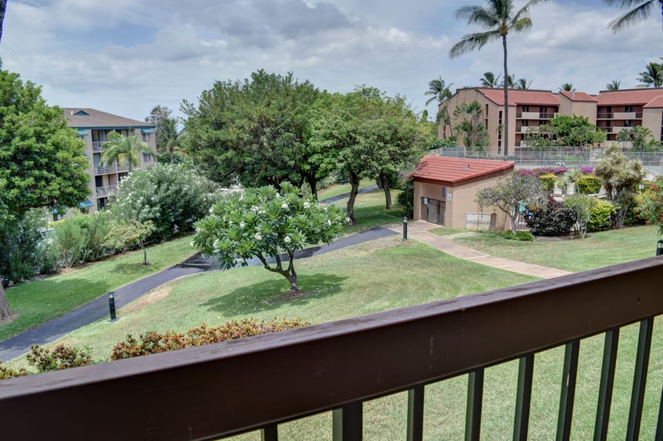 View from lanai of the tropics