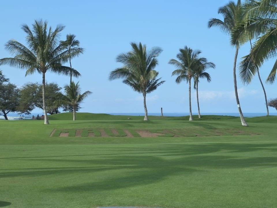 Beach - Waipuilani Beach Park.  Great for sunset viewing before dinner.  Enjoy the park all day with the kids, play tennis, take a long walk on the beach or just relax on a blanket with a good book!