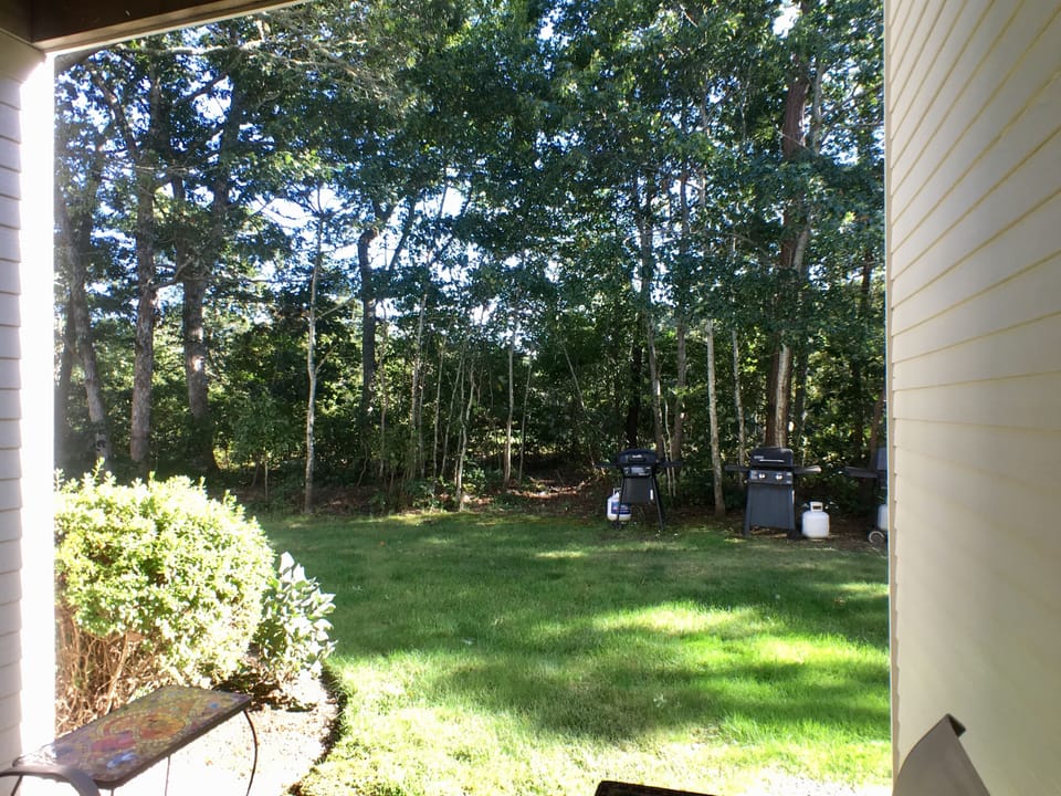 Patio View